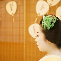 4 recommended courses of Dinner with Geisha in Kyoto