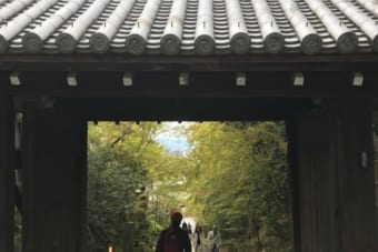Kodaiji