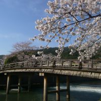 Why a Walking Tour is The Best Way to Experience Kyoto