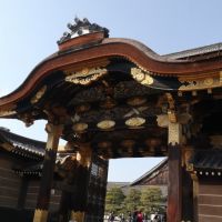 Nijo Castle (Nijo-jo): A Guide to Kyoto’s Most Remarkable Castle