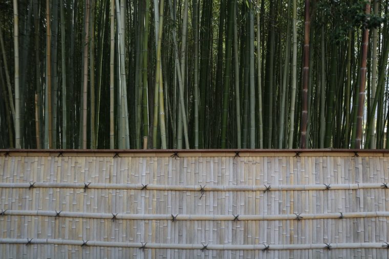 arashiyama bamboo grove visit