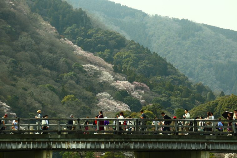 arashiyama bamboo grove visit