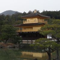 Kinkakuji temple: A Golden Legacy - History and Travel Guide